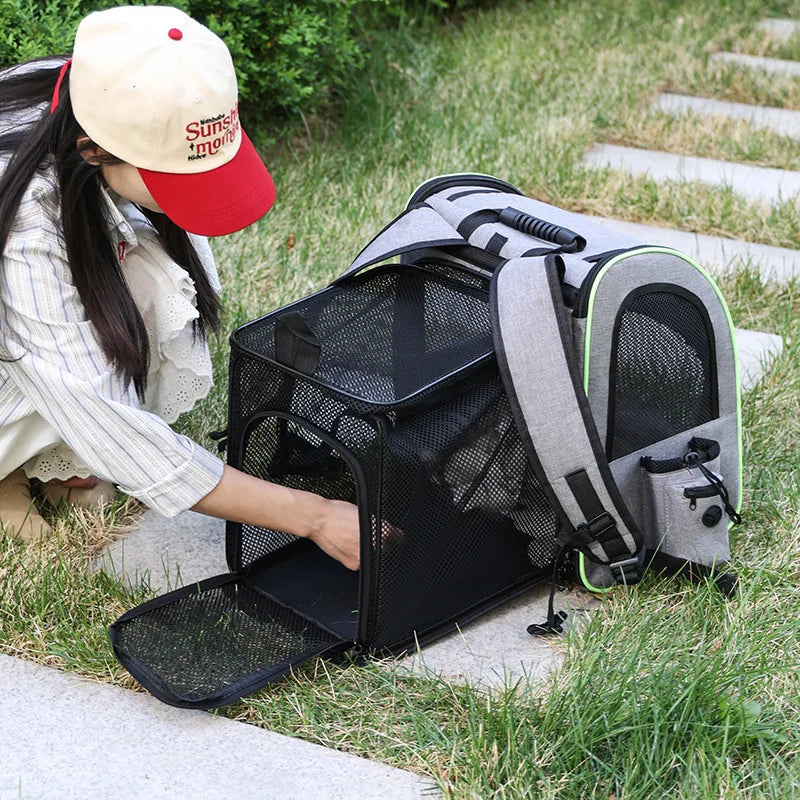 Cozy Cat Travel Backpack