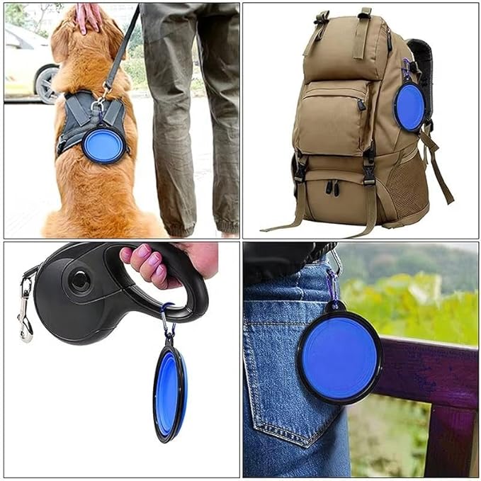 Ultimate Dog Walking Leash Kit