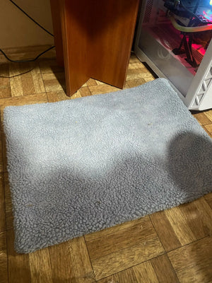 A3e3d5cd25d8145808294898415300646Y.jpg