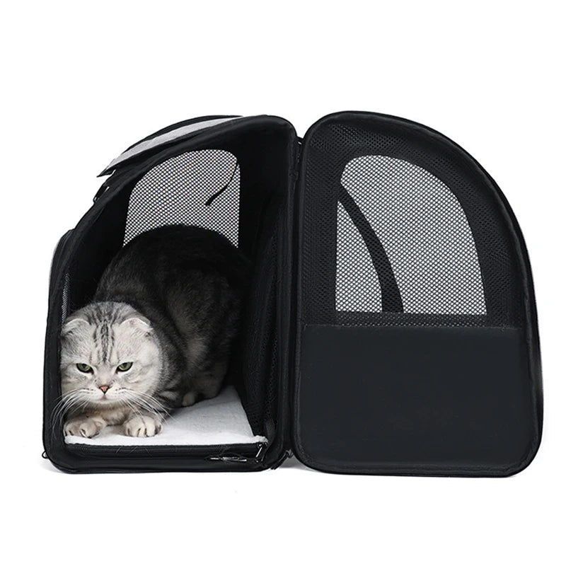Cozy Cat Travel Backpack