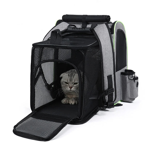 Cozy Cat Travel Backpack