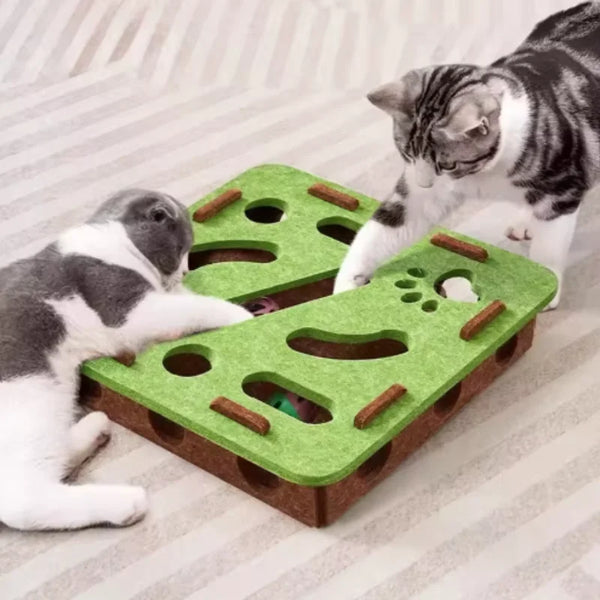Kitten Puzzle Fun Box