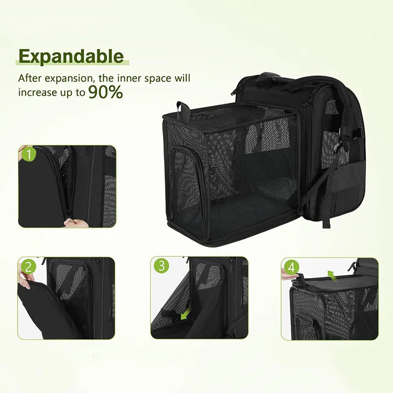 Cozy Cat Travel Backpack
